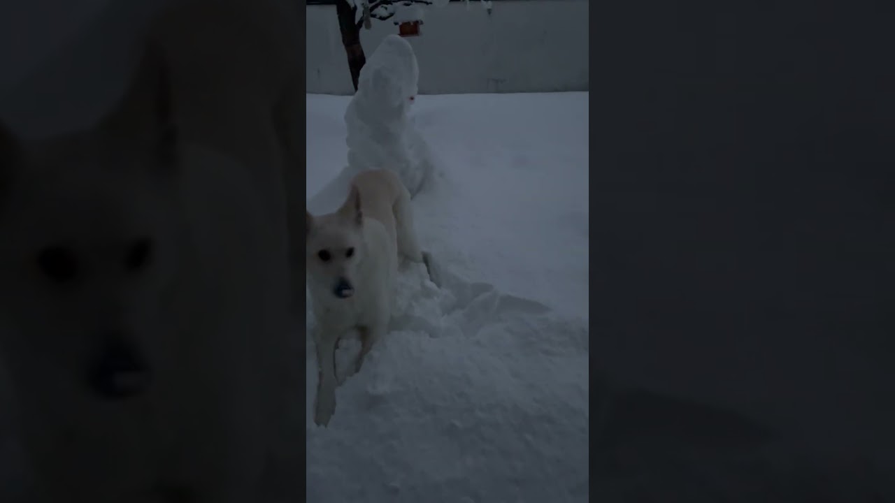 #Schnee #Winter #Spaß #Schneeflocken