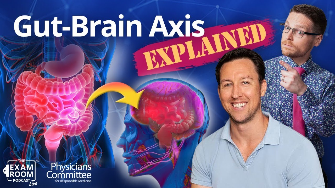 Your Gut: A Second Brain | Dr. Will Bulsiewicz | Exam Room Live Q&A