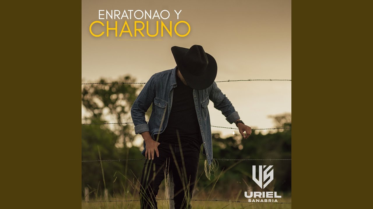 El Precio del Llanero