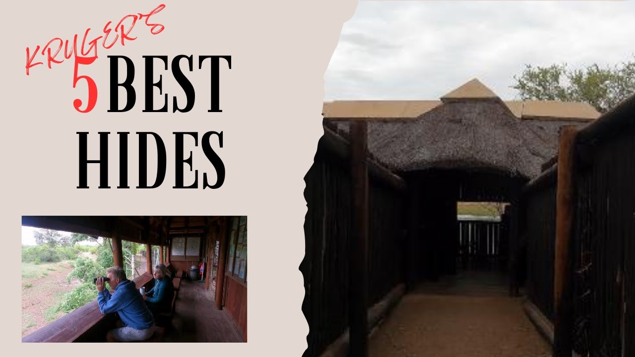 The Best Five Hides in the Kruger National Park