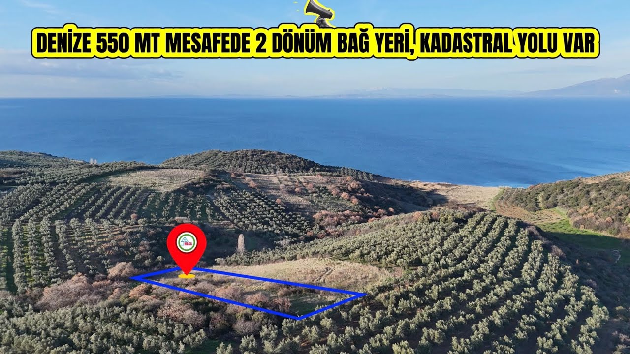 BALIKÇI KASABASI TADINDA MİSAKÇA KÖYÜNDE DENİZE 550 MT MESAFEDE 2 DÖNÜM BAĞ YERİ