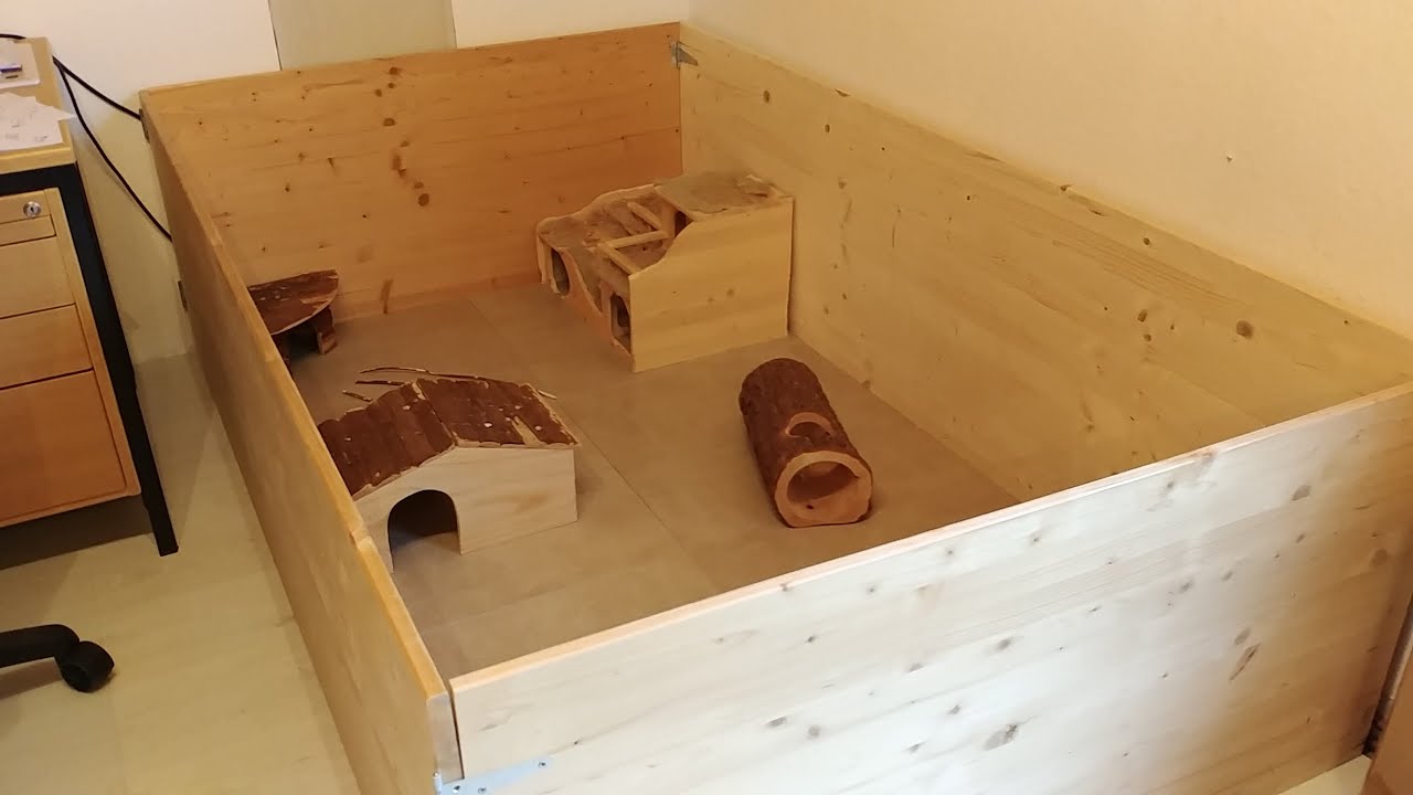Auslauf für Degus