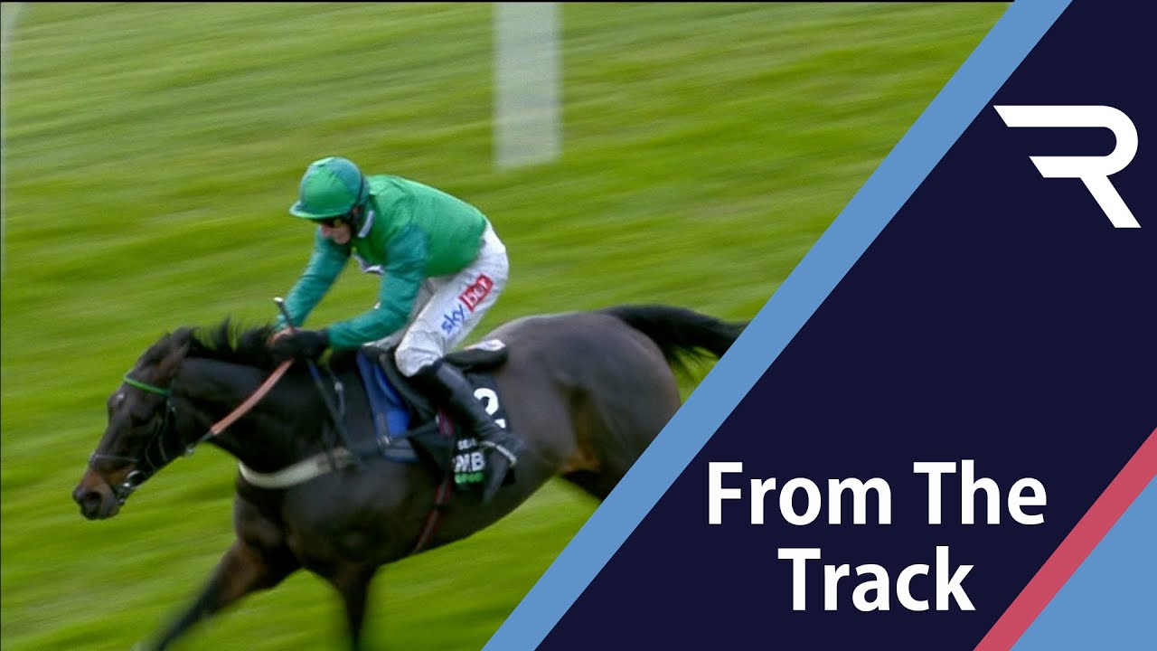 What a horse! Sceau Royal wins a third Unibet Elite Hurdle at Wincanton - Racing TV