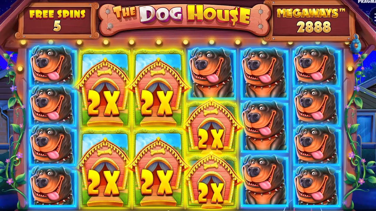 I CAN'T BELIEVE THIS HAPPENED ... (Dog House Megaways)