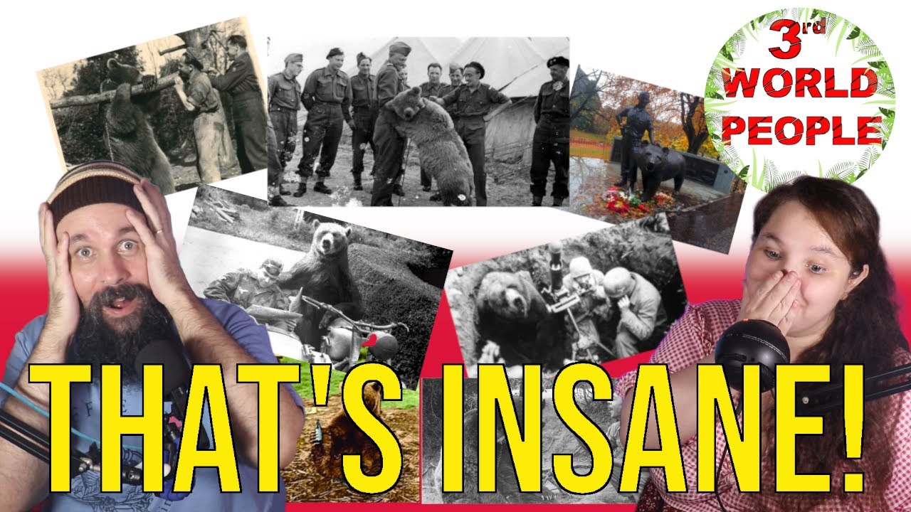 3rd WORLD PEOPLE DISCOVER THE STORY OF WOJTEK - THE POLISH MILITARY BEAR | POLAND REACTION