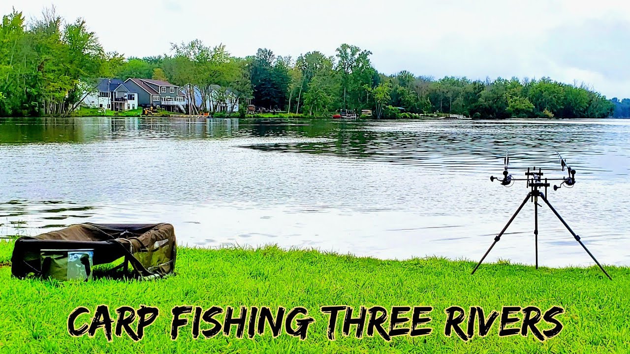 Carp Fishing at Three Rivers