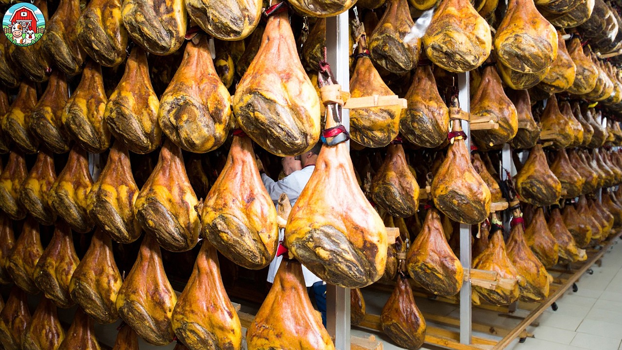 Thousands Of Luxury Jam&oacute;n Ib&eacute;rico Processing - How The Most Expensive Ham In The World Is Made
