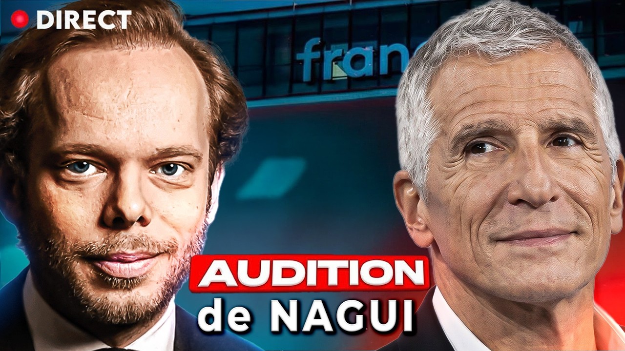 Commission d'enqu&ecirc;te : suivez en direct l'audition de Nagui