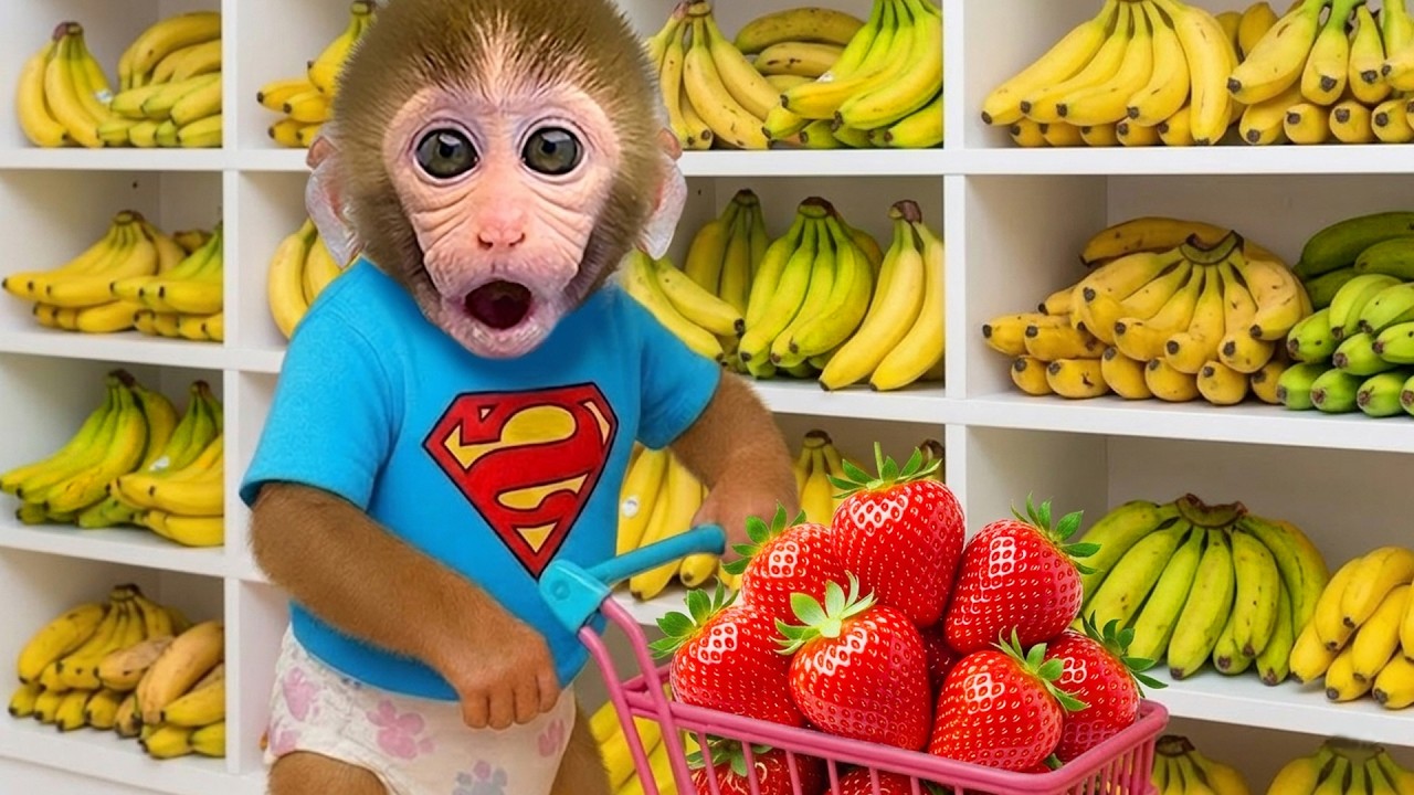 Monkey Bon Bon Eats Strawberries and Bathes in Gold Bathtub