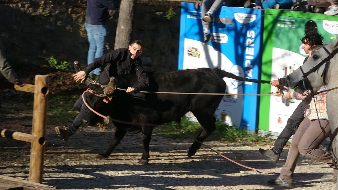MONTPEZAT ABRIVADO BANDIDO 24/02/24