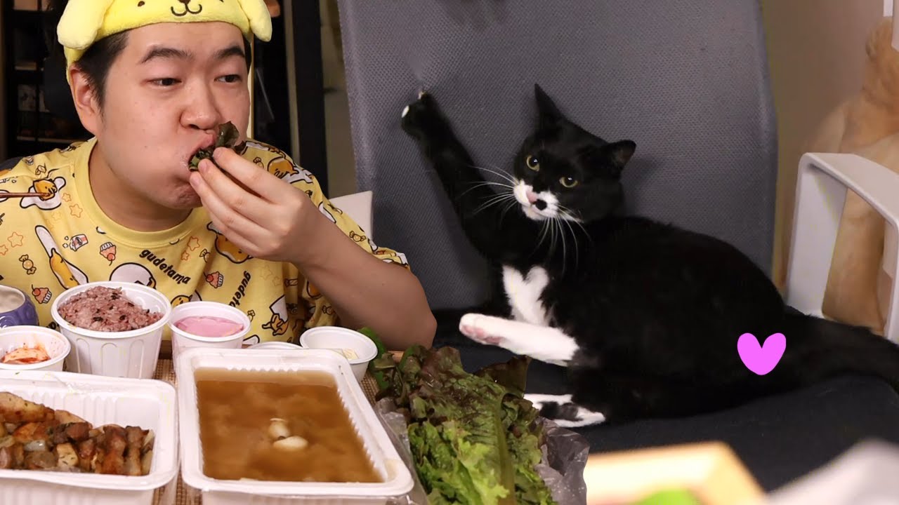고양이는 못말려 삼겹살 먹방입니다!!