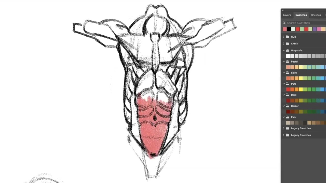 Time Lapse Video of Will Weston drawing the torso. From his classes on our website.