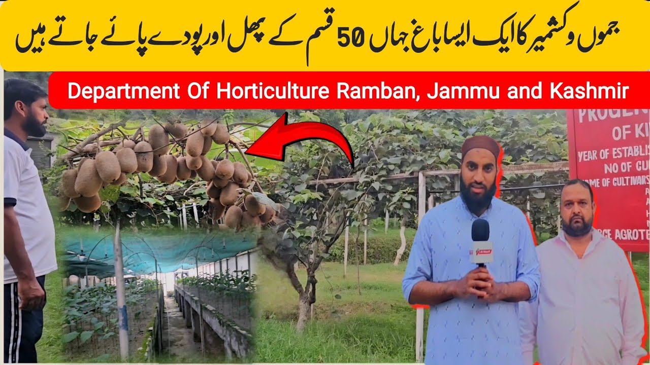 Jammu Kashmir Ka Sab se Khubsoorat Bagh | Ap Ne Pehle Kabhi Nhi Dekha Hoga | JK Maarif