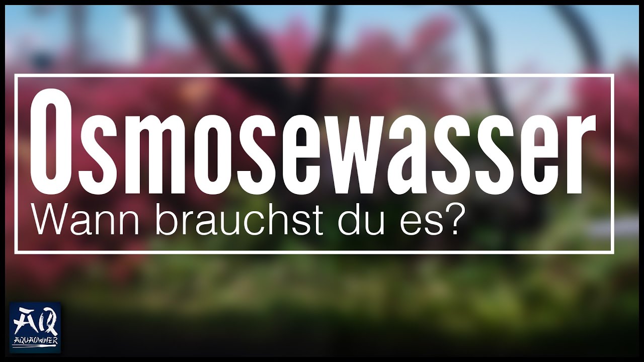 Wann brauchst du eine Osmoseanlage? | AquaOwner