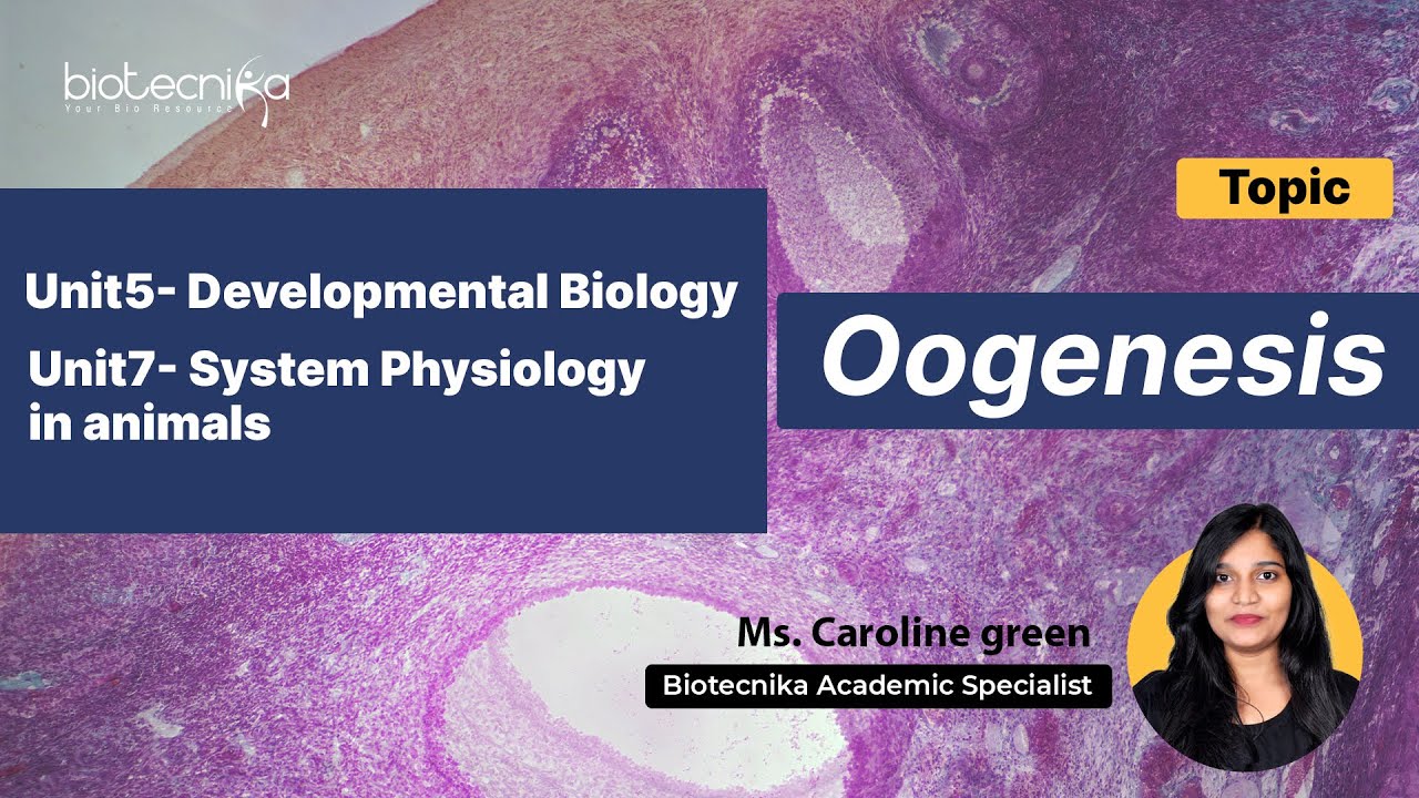 Developmental Biology - Oogenesis | CSIR NET UNIT 5 | Important Concept Lecture