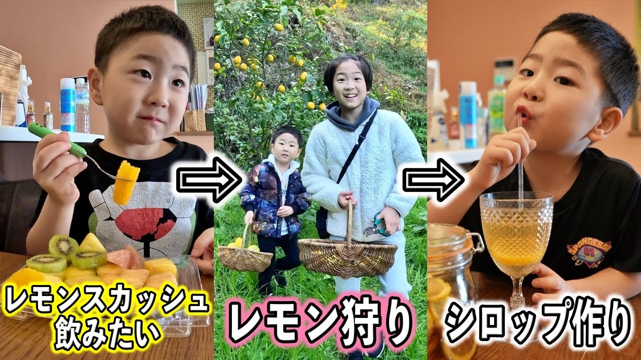 レモンスカッシュが飲みたくなったのでレモン狩りしてシロップ作り🍋