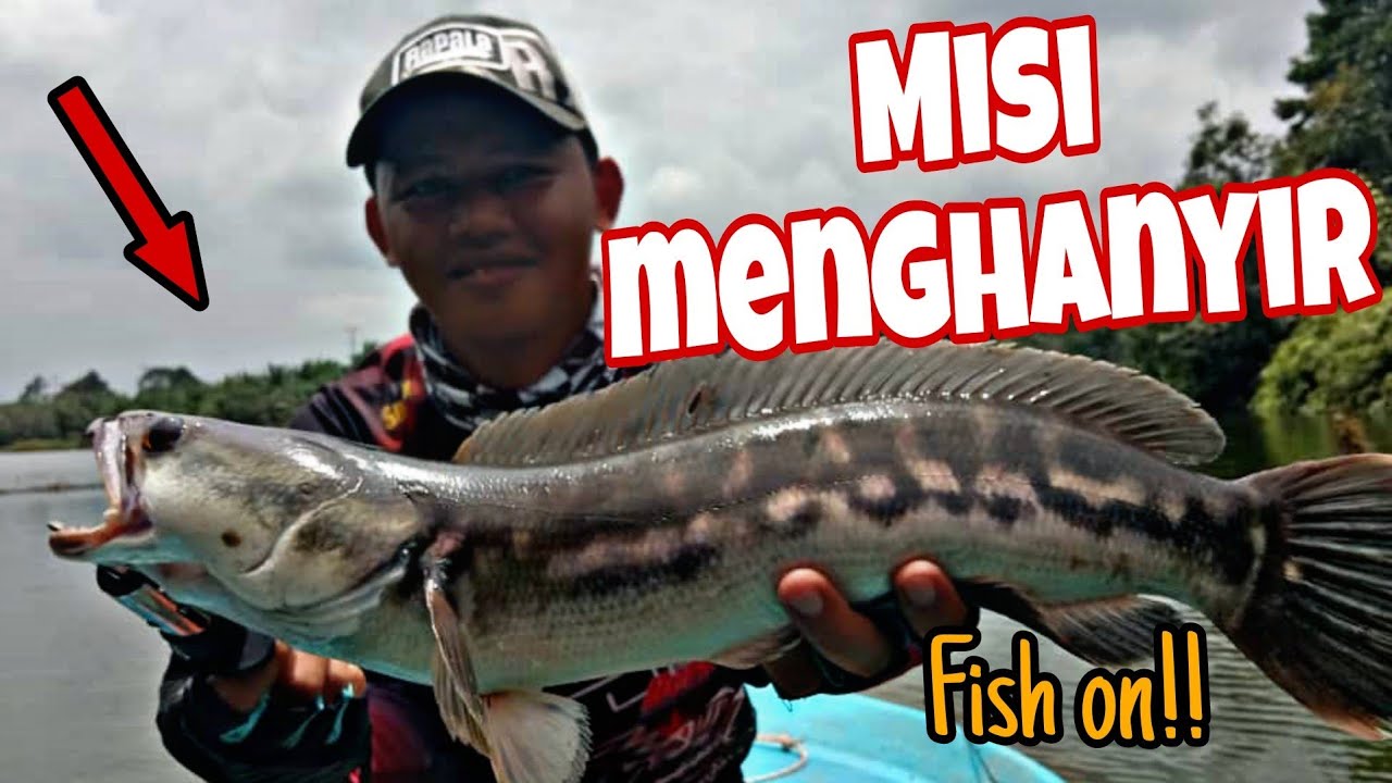 Toman penghanyir || Misi lengkap