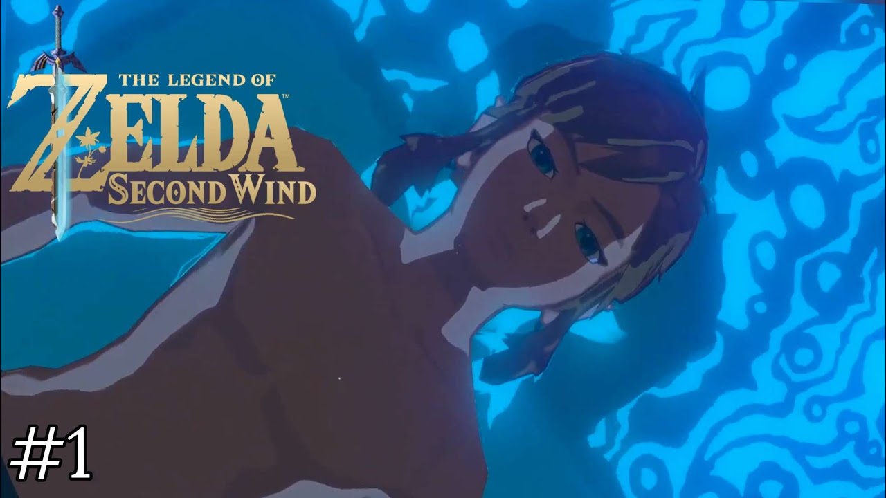 L'Éveil du Héro ! (The Legend of Zelda : Second Wind #1)