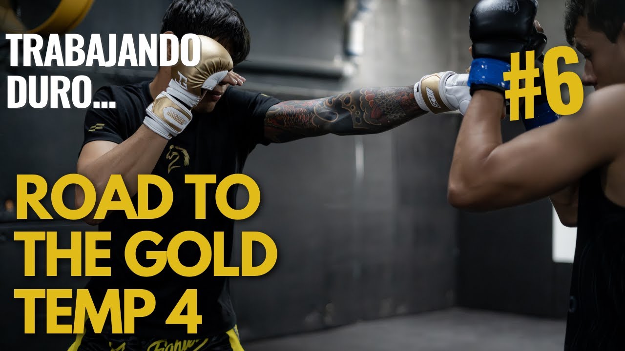 Road to The Gold TEMP. 4 || Cap. 6