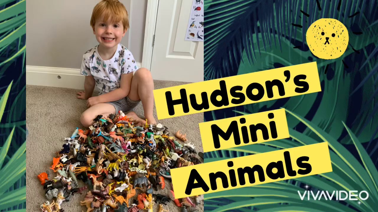 Hudson&rsquo;s Mini Toy Animals