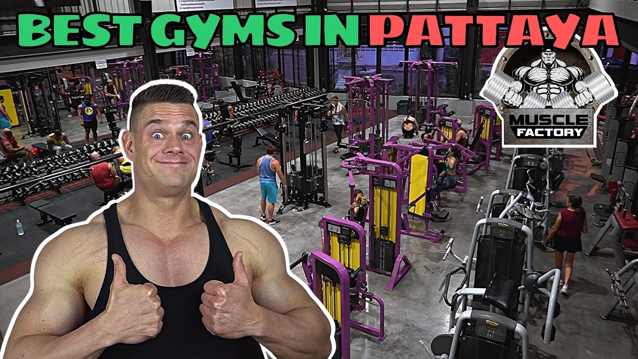 Steve Tours The 6 Best Gyms In Pattaya | 80kg Dumbbells | Reverse Hyperextension | Hoist Equipment