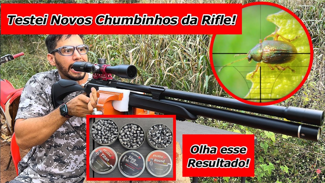 Acertei Um besouro a 25 metros! Artemis M25 7.62mm