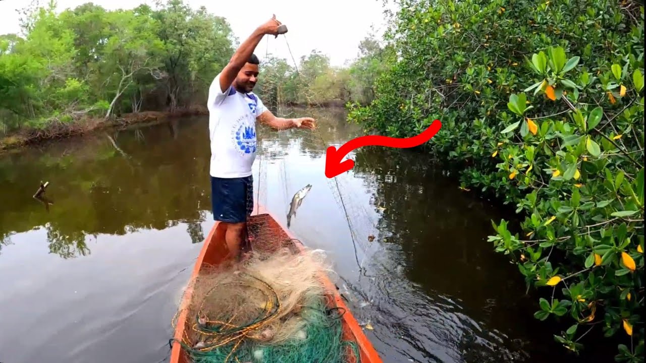 pesca de robalo con trasmayo y también atrapamos de estos en lugares tenebrosos del rio😱😱