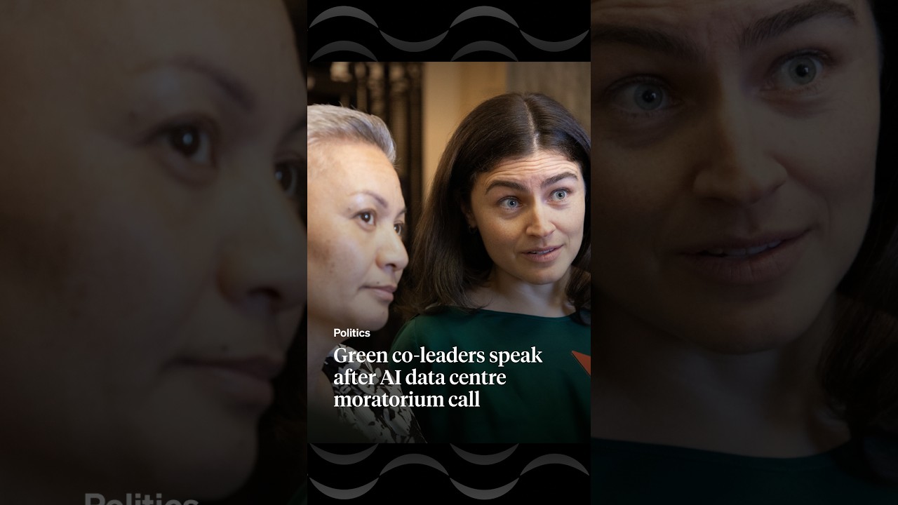 Green co-leaders speak after AI data centre moratorium call | RNZ