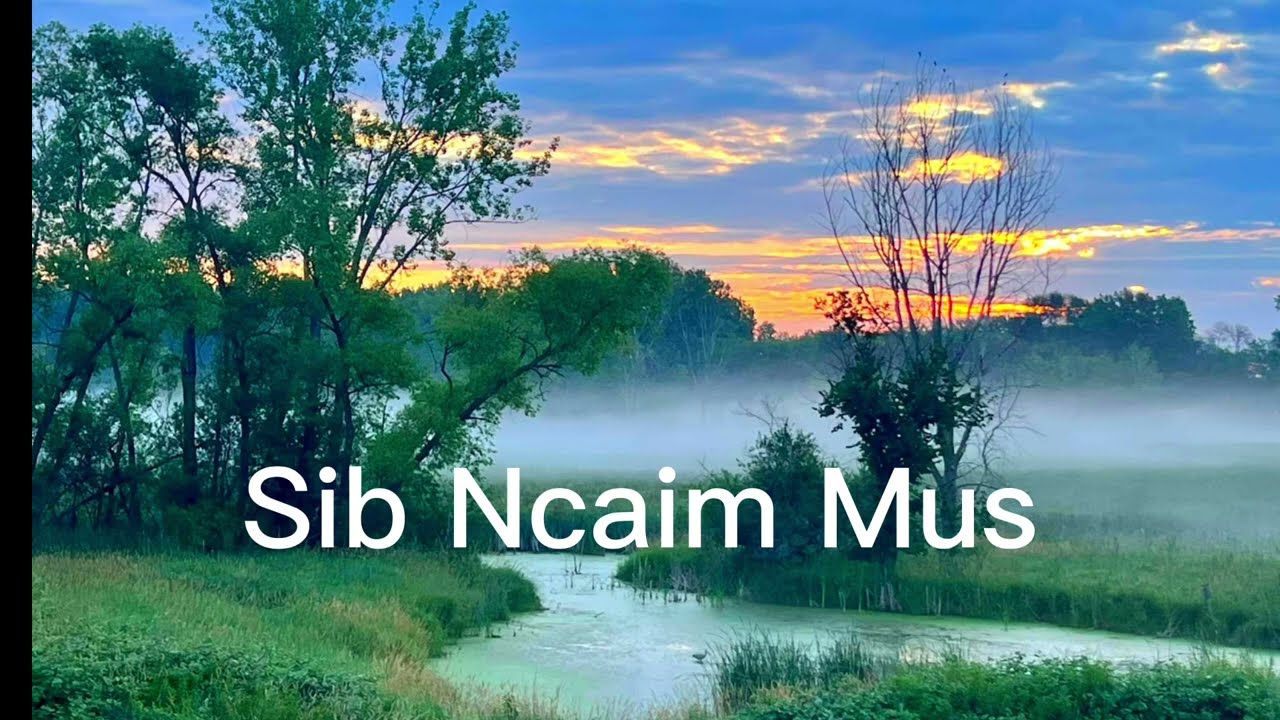 Sib Ncaim Mus by Dao Wijit Xiong (2022-2023)
