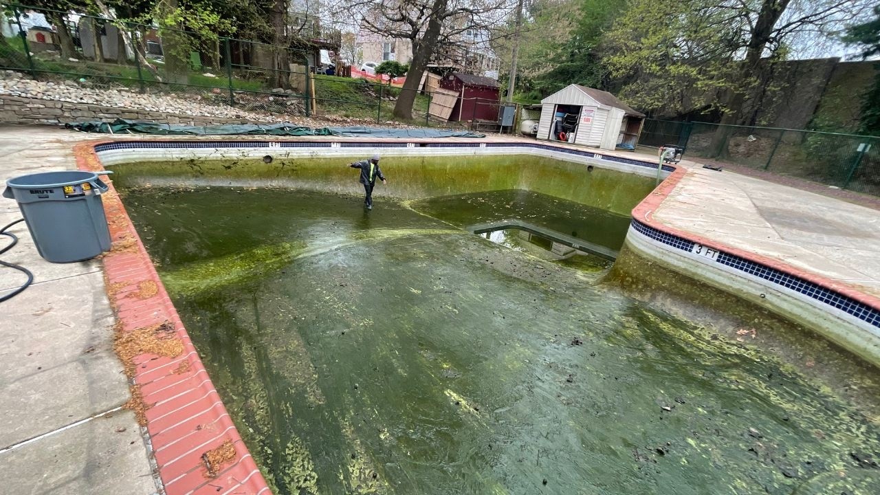 From Murky Waters to Brilliant Blue: Pool Transformation Story #pressurewashing #timelapse