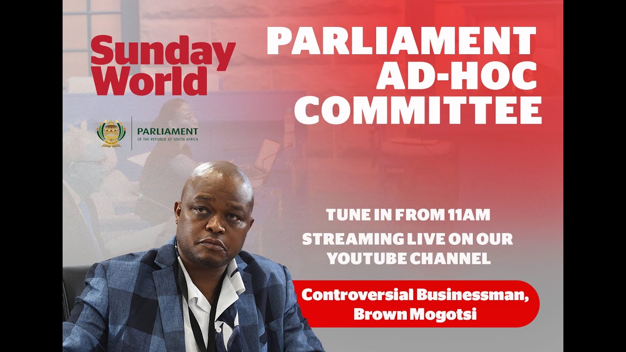 Ad Hoc Committee| 24 February 2026