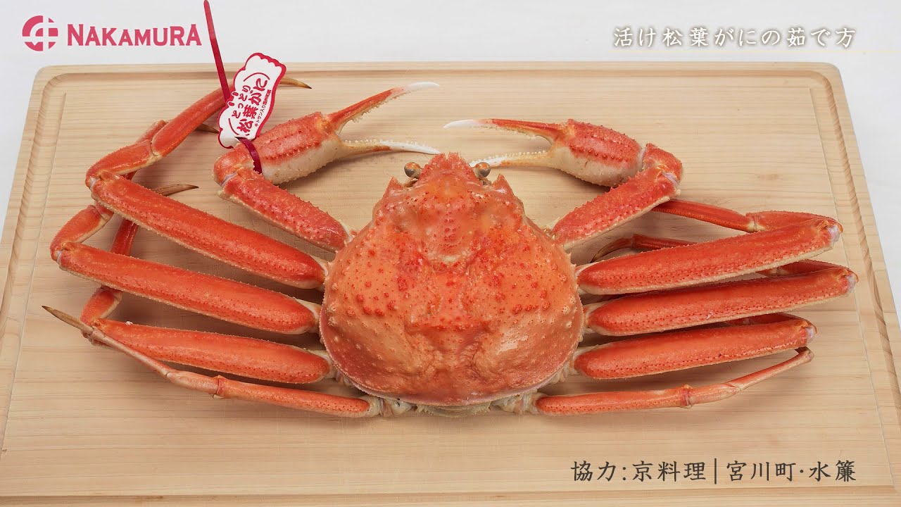 活け松葉がに 【茹で方】
