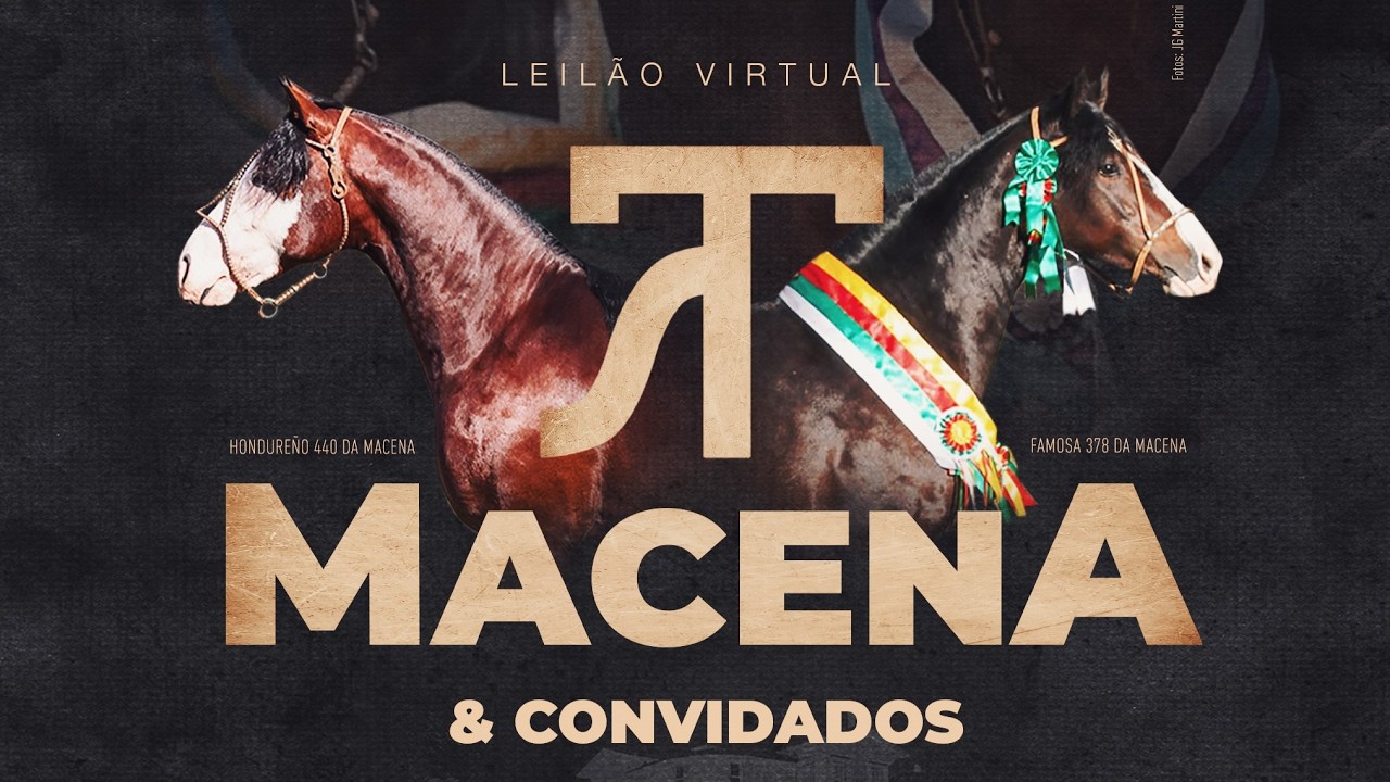 LEILÃO VIRTUAL CABANHA DA MACENA & CONVIDADOS