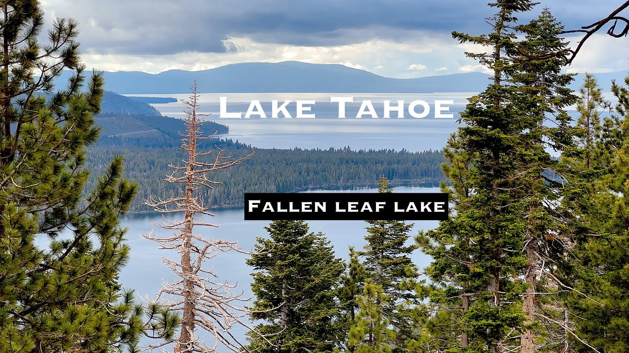 Exploring trails above Fallen Leaf Lake in Lake Tahoe. Mountain biking Mule Deer Connector. 6/12/23.