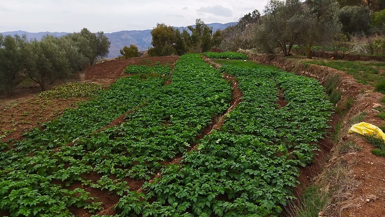 مناظر طبيعية من جبال بني توزين (الريف)