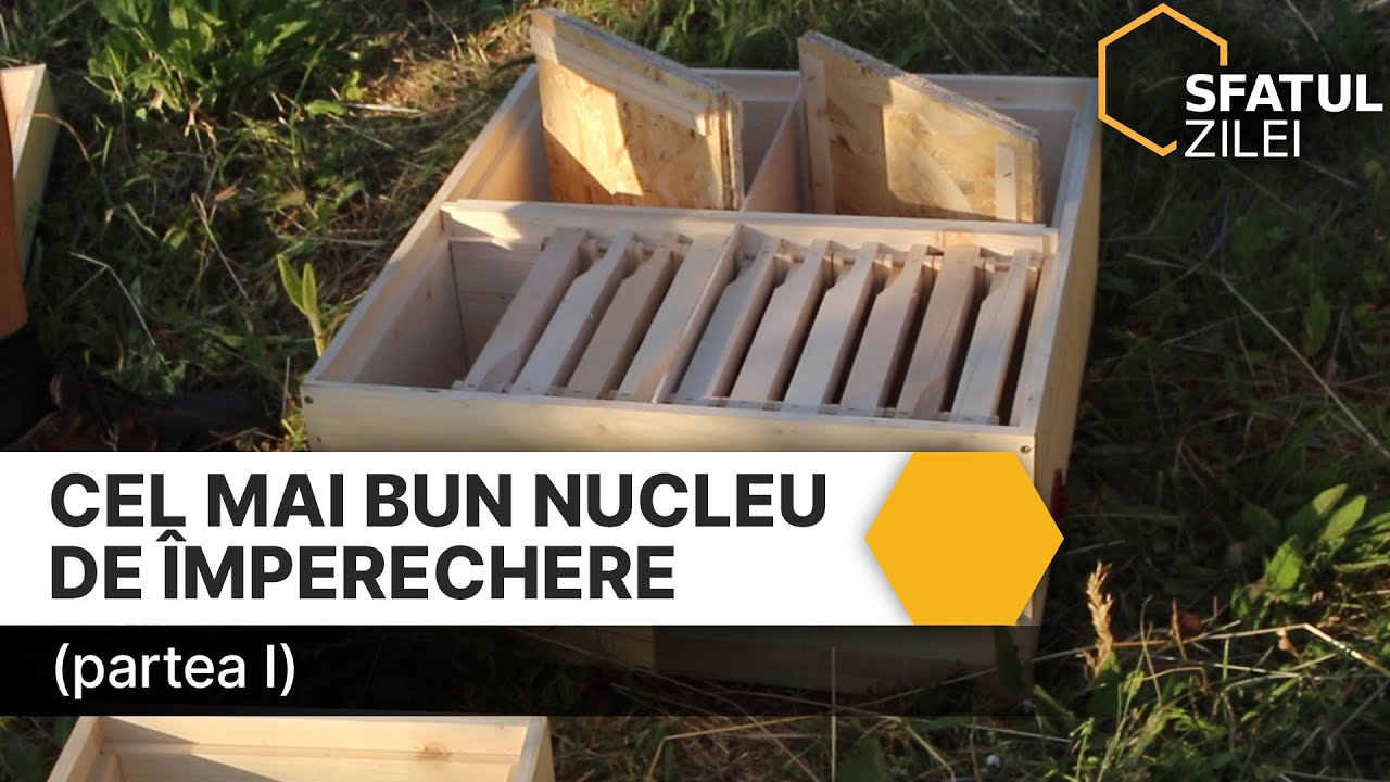 Cel mai bun nucleu de împerechere (partea I)