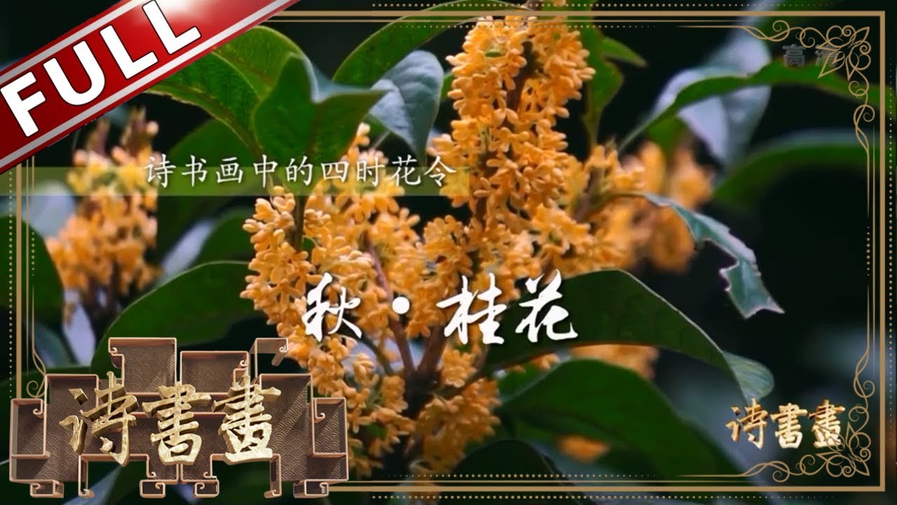 《诗书画》秋·桂花 最忆是杭州 || 20190917【东方卫视官方高清HD】