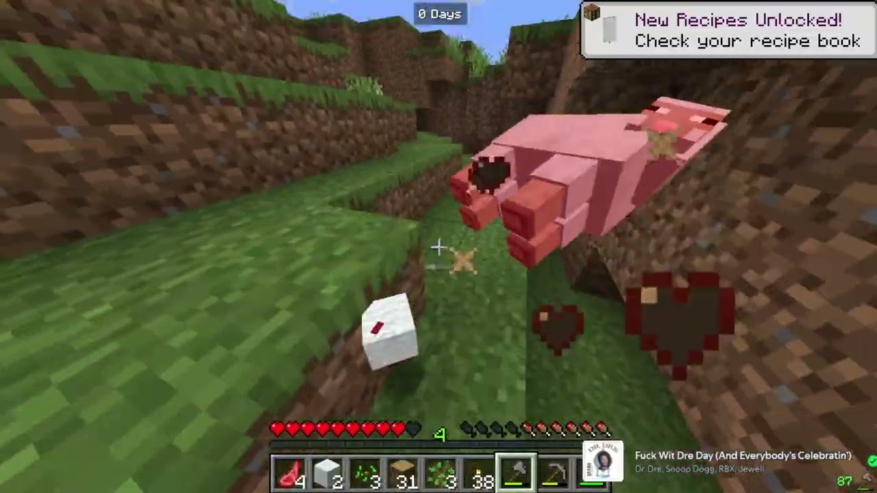 minecraft_1