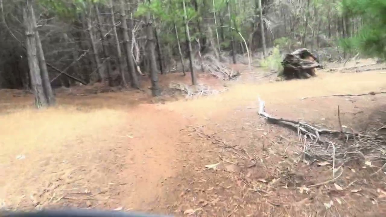 Woodtiijup Trails Margaret River 