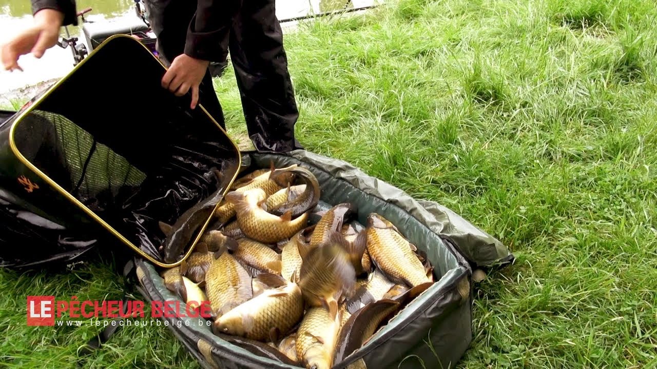 Une autre manière de pratiquer le feeder en carpodrome