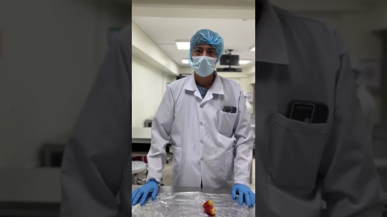 Extracción del ADN 🧬 de una 🍓