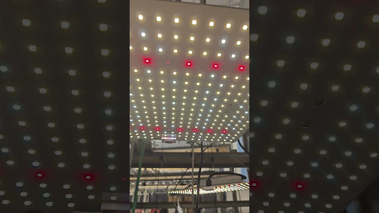 Quantum Board LED Grow Light for Your 4X4FT Indoor Grow Tent
