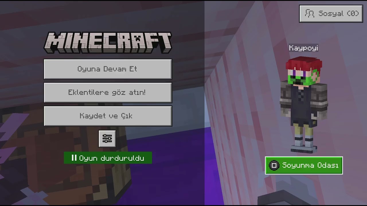 Minecraft_20260206230221