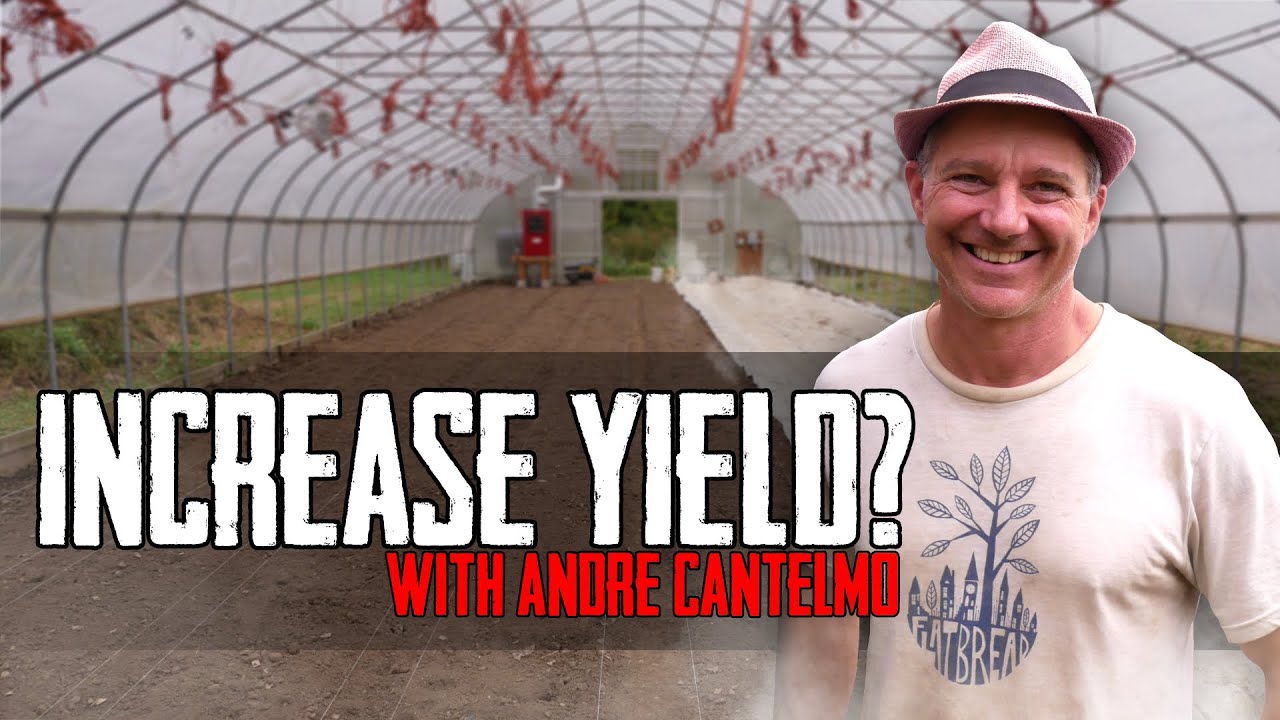 Does Steaming Soil Increase Yield?