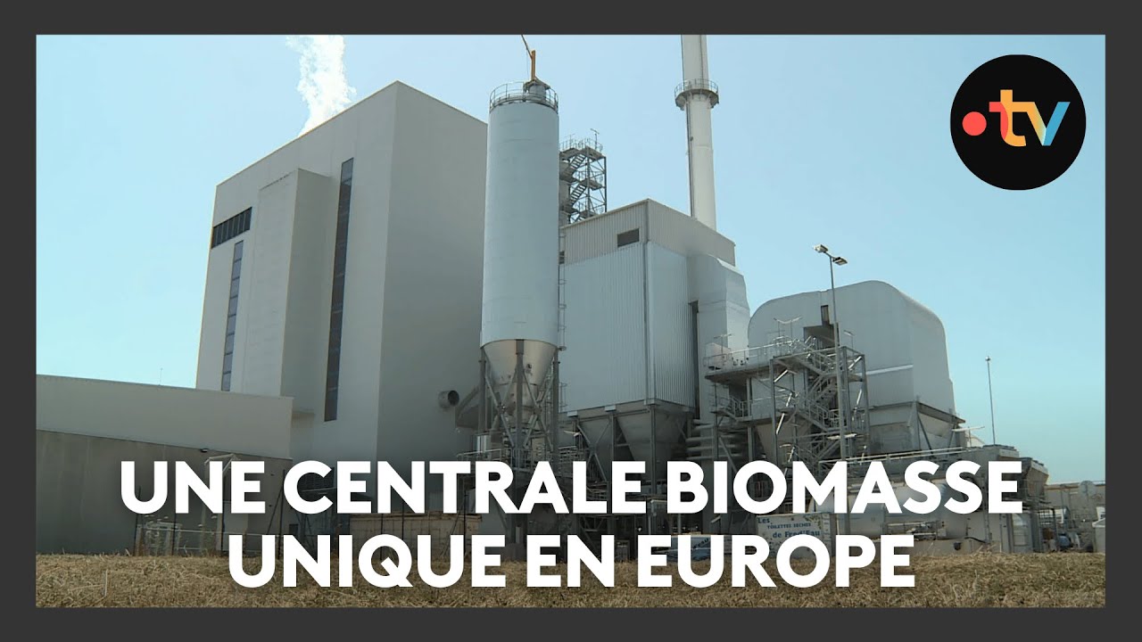Cette centrale biomasse unique en Europe produit de l'électricité et de la vapeur