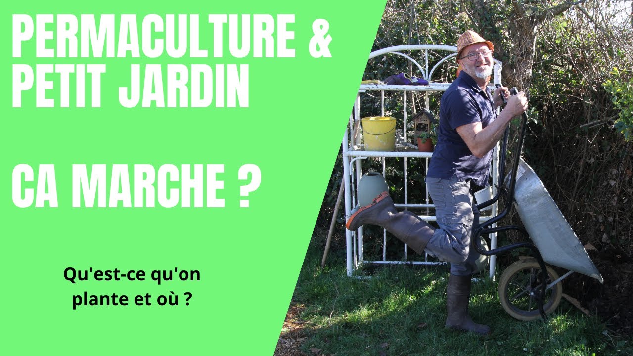 Permaculture sur une petite surface, plan des cultures prévues