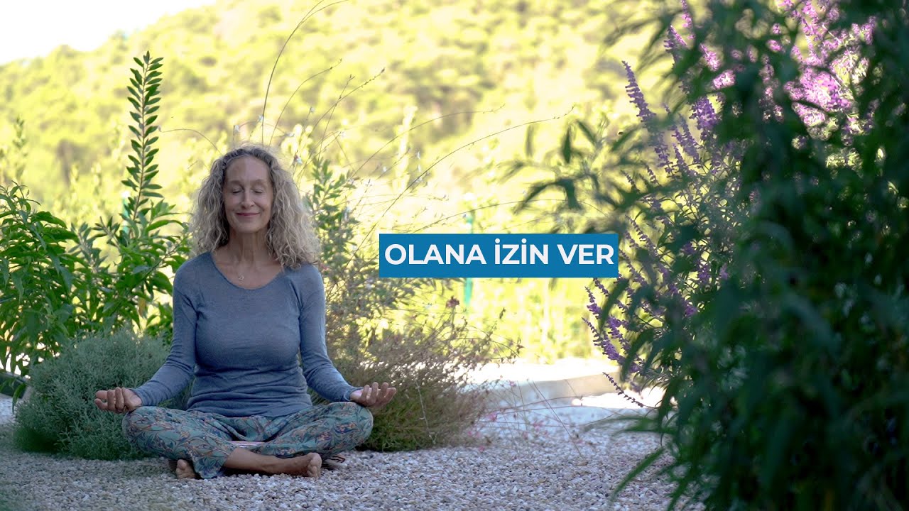 OLANA İZİN VER / MEDİTASYON / PRATİKLERİM