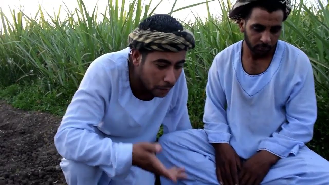 حرامية في نص الليل //قصه حقيقيه