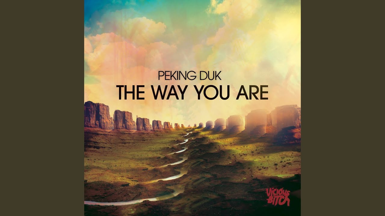 The Way You Are (Original Mix)