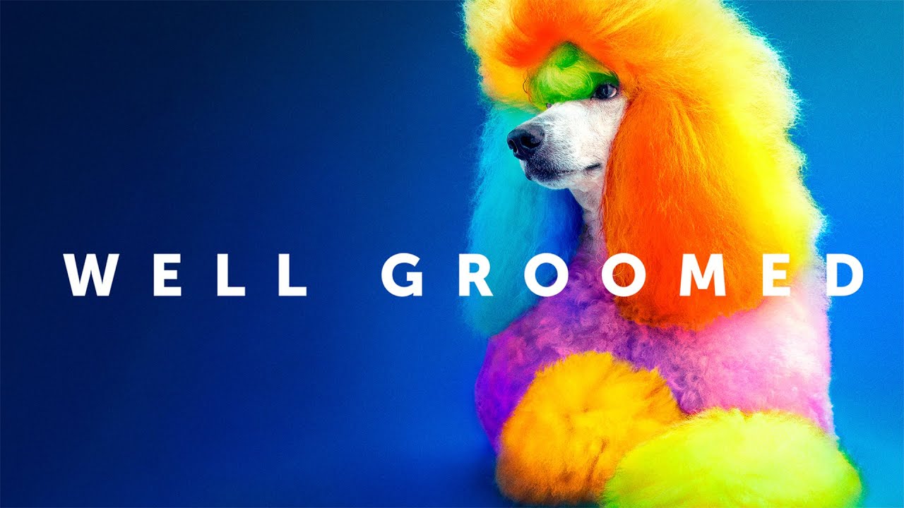 Well Groomed - Official Trailer